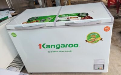 Top 03 Tủ đông Kangaroo thông dụng đáng mua nhất