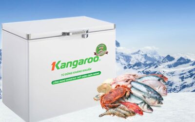 Review Tủ đông Kangaroo KG265NC1 có tốt không?