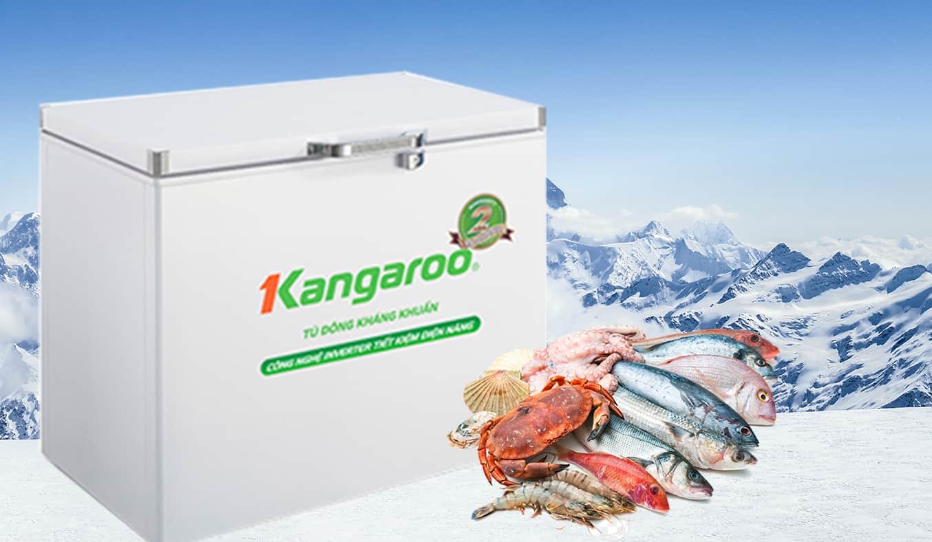 Tủ đông Kangaroo KG265NC1 02