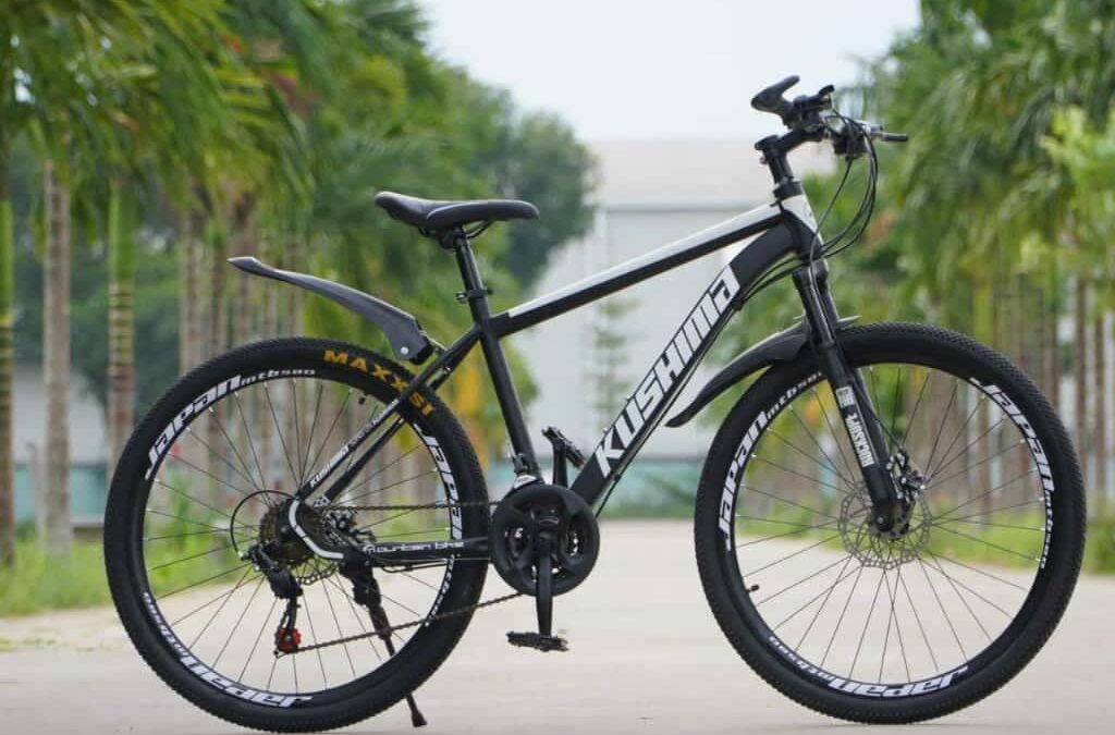 Review Xe đạp thể thao Kushima có tốt không? Giá bao nhiêu?